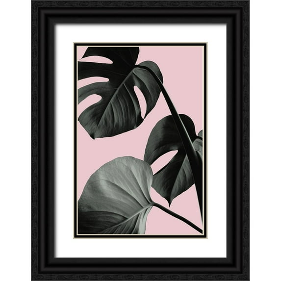 Artographie Studio 11x14 Black Ornate Wood Framed with Double Matting Museum Art Print Titled - Monstera Pink No 04