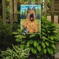 thumbnail image 2 of Carolines Treasures SS8035GF Briard Flag Garden Size, 2 of 3