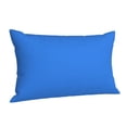 thumbnail image 2 of Kll Dodgerblue Pillow Covers Envelope Closure,Super Soft And Cozy Fuzzy Fleece Pillow Case Cover 20"X30", 2 of 9