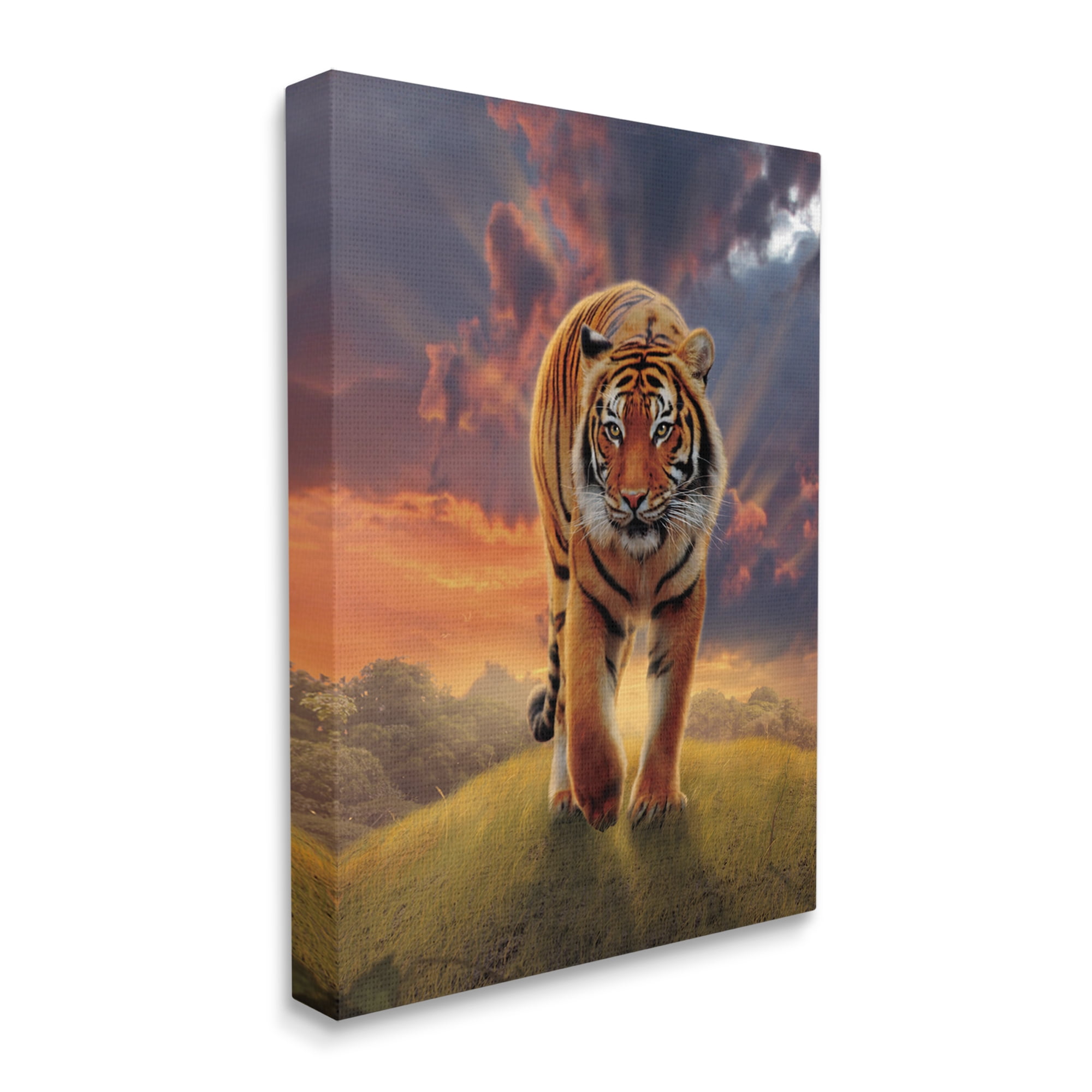 Stupell Industries Rising Tiger Sunset Animals & Insects Painting Gallery Wrapped Canvas Art Print Wall Art, 36 x 48