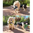 thumbnail image 5 of Juguetes de peluche para mascotas, juguetes interactivos con chirrido, juguetes adorables para mascotas, juguetes plegables, juguetes para masticar, aptos para perros pequeños y medianos, relleno, 5 of 5