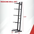 thumbnail image 2 of Lifeline Fitness Vertical Medicine Ball Rack – Compact 42.8" High, 5-Tier Storage Solution, 2 of 4