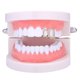 thumbnail image 3 of Grillz de doble diente con cara abierta hueca, chapado en oro amarillo, para los dos colmillos superiores derechos, joyería de cosplay de hip hop., 3 of 4