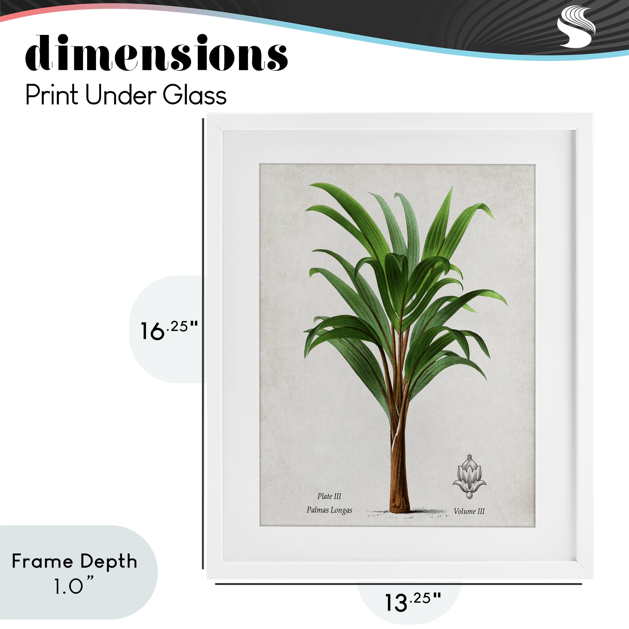 Stupell Industries Palmas Longas Palm Tree White Framed Print Under Glass, design by Val Rhodes