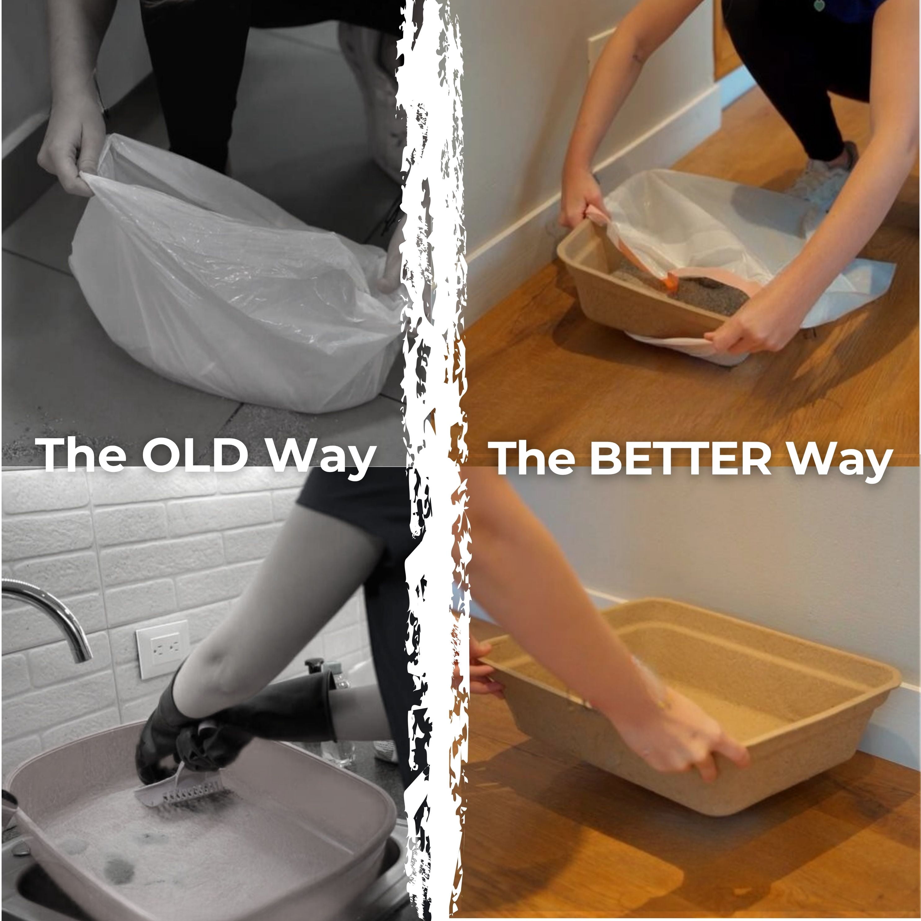 The Wit Cat Disposable Litter Boxes, Large Size, 4-Pack, Leakproof, Sturdy and Eco-Friendly