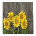 thumbnail image 3 of Ambesonne Garden Shower Curtain, Helianthus Sunflowers, 69"Wx84"L, Brown Yellow Green, 3 of 5