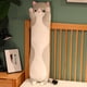 thumbnail image 3 of Cartoon Long Cat Capybara Plush Throw Pillow Soft Stuffed Cotton Stuffed Toy Pillow Gift For Boys Girls To Sleep Companion Dolls, 3 of 5