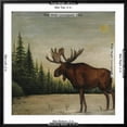 thumbnail image 5 of Art.com North Woods Moose II Art Print by David Cater Brown, Black Frame Wall Art, 29" x 29", 5 of 5