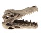 thumbnail image 2 of Cueva de Escondite de con Dinosaurio, , Y de Acuario Sunnimix Adorno de dinosaurio de acuario, 2 of 8