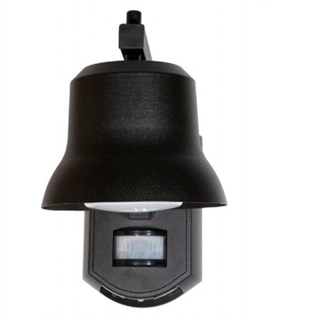 It's Exciting Lighting Outdoor Black Porch Light with Motion Detector