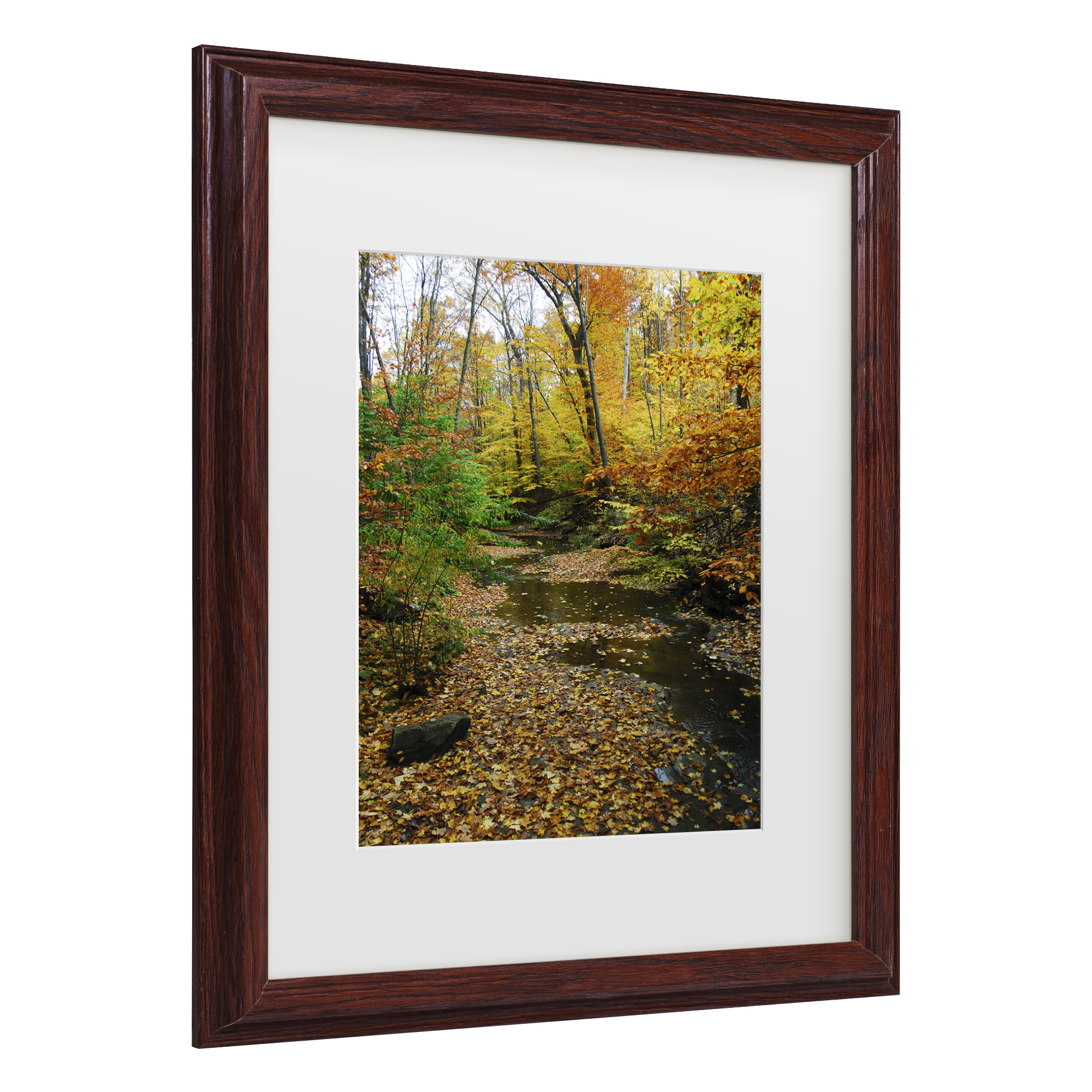 Trademark Fine Art 'Autumn Stream' Canvas Art by Kurt Shaffer