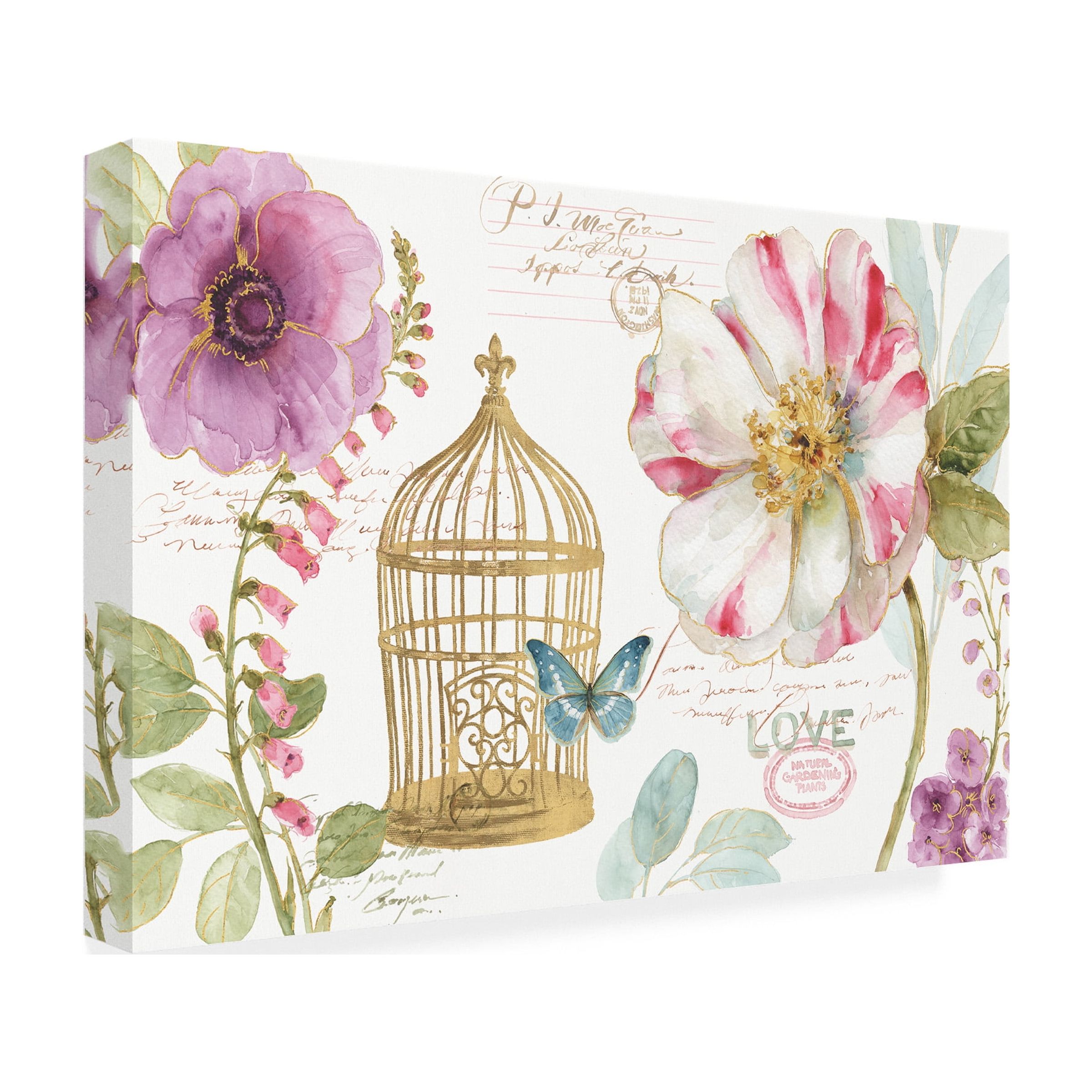 Trademark Fine Art "Rainbow Seeds Floral Birdcage I" Canvas Art by Lisa Audit