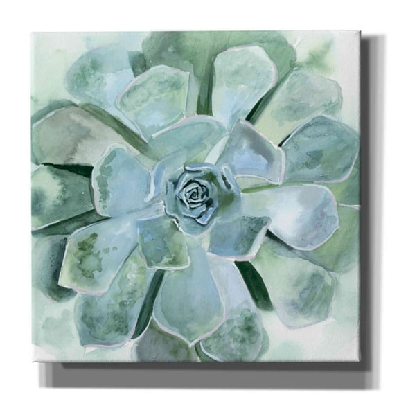 Epic Graffiti 'Verdant Succulent III' by Victoria Borges, Canvas Wall Art, 18"x18"