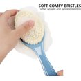 thumbnail image 2 of Cepillo para el cuerpo de la ducha con cerdas y lufa, esponja de malla para baño con mango largo curvado para baño exfoliante de la piel, cerdas de masaje adecuadas, 2 of 5