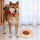 thumbnail image 2 of Comedero Para Perros, Cuencos Para Agua, Cuencos Para Comida, Comederos De Plástico Para Perros Pequeños Y Medianos, Cachorros Y Gatos, 2 of 3