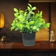 thumbnail image 4 of Decoración del hogar, decoración de habitaciones, decoración de paredes, plantas artificiales decorativas, plantas verdes de simulación, arreglos para muebles de interior, sala de estar, ramo de plást, 4 of 6