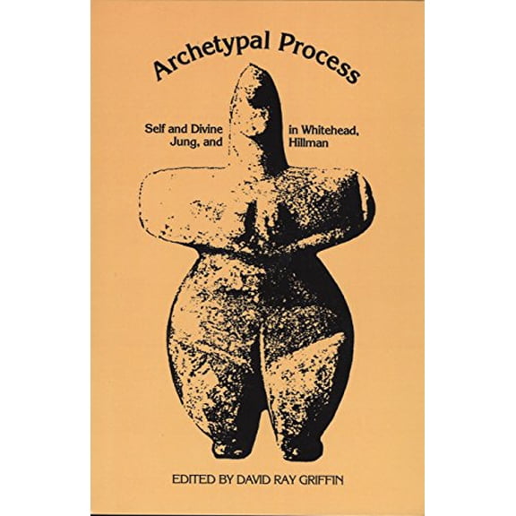 Pre-Owned The Archetypal Process: Self and Divine and Whitehead, Jung, and Hillman (Paperback) 081010816X 9780810108165
