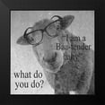 thumbnail image 2 of Phillip, Jamie 15x15 Black Modern Framed Museum Art Print Titled - Baa-Tender, 2 of 5