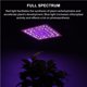 thumbnail image 5 of Luz Led Para Plantas, Luz De Relleno Para Plantas Con Disipación De Calor, Soporte Colgante, Luz Led Cuántica Para Plantas Con Espectro Completo Para Plantación De Jardín Minnieouse HA028038-02, 5 of 7