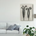 thumbnail image 3 of Trademark Fine Art 'UA CH Blossfeldt Botanical II' Canvas Art by Karl Blossfeldt, 3 of 4