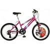 Roadmaster Mountain Sport SX 20-inch Girls' Bike