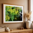 thumbnail image 5 of hello dill - Photography Botanical Floral Garden Nature Flowers Scenic Unframed Wall Art Print 40 x 60 inches, 5 of 7
