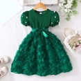 thumbnail image 2 of Blekii Petite Fit Long Sleeve Crewneck Tulle Midi Dress Casual Spring Summer Birthday Party Olive Green 4Y, 2 of 9