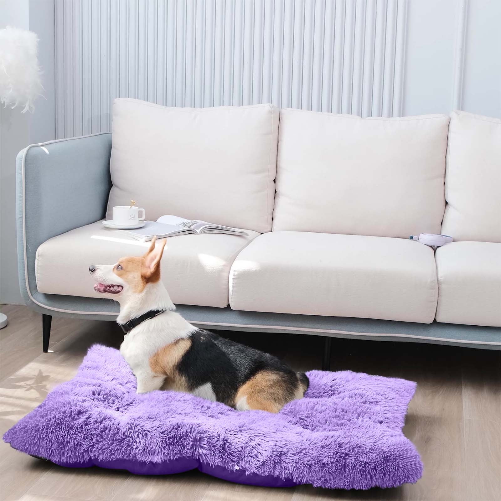 Aueoeo Cat Beds For Indoor Cats Cat Bed Comfortable Kennel Dogs Pet