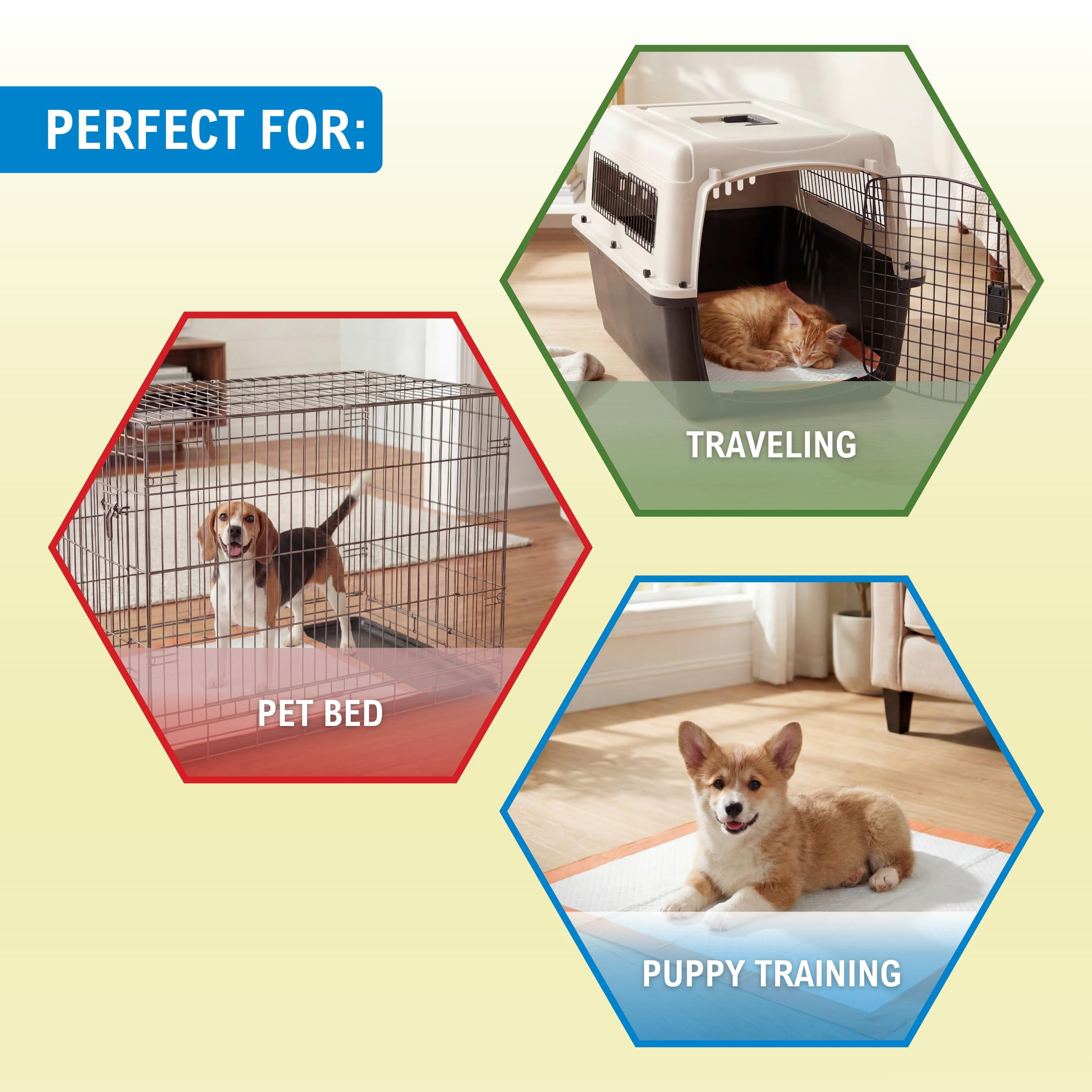 MED PRIDE Dog Training Pads with Attractant, Puppy Pee Pads, 22 x 24 Inch Disposable Potty Pads, 6-Layer Ultra Absorbent Leakproof Waterproof Pet Pads for Dogs, Cats & Small Pets (125)