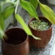 thumbnail image 4 of Tazas De Té De Hechas A Mano, Experiencia Japonesa Tradicional De La Cultura De La Ceremonia Del Té, Para Beber Bebidas Calientes Del Motivo Del Café Del Té, Tazas De Té, 4 of 7