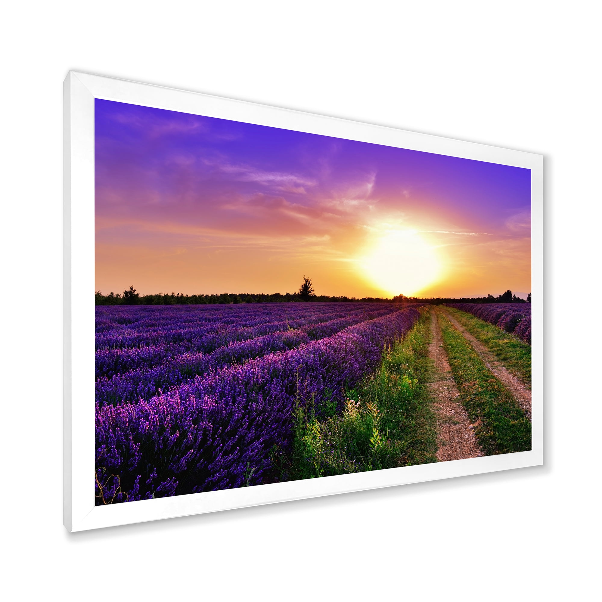 Designart 'Lavender Field At Sunrise II' Farmhouse Framed Art Print