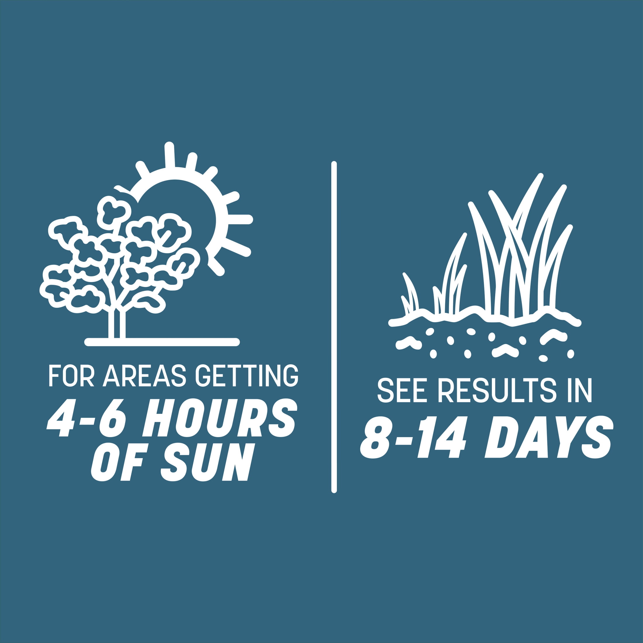 Pennington Smart Seed Pacific Northwest Grass Seed Mix, for Sun to Partial Shade, 7 lb. New Bag