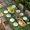 Green, variant on St. Patrick's Day Table Cloths for 5 Foot Rectangle Tables, Cute Kitten Cats Shamrock Leaf Wood Green Patio Waterproof Elastic Fitted Tablecloths, Washable Rectangular Table Cover for Camping
