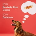 thumbnail image 4 of DreamBone Dream Kabobz 12 Count, Rawhide-Free Chews For All Dogs, 4 of 6
