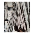 thumbnail image 3 of Perchoir Multi-Branches pour Installation Simple, Support de Perroquet en Bois Naturel avec Bonne Texture (4 Pcs), 3 of 5