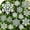 White and Silver, variant on GuassLee 36Pcs White and Silver Plastic Glitter Hanging Snow Flakes for Christmas Tree Decorations Winter Wonderland Frozen Birthday Party Holiday Home Decor