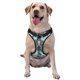 thumbnail image 1 of Fotbe Butterflies Skull Bows Arnés para Perro con Estampado –Chaleco Ajustable Acolchado con Asa de Control para Perros Grandes-X-Large, 1 of 6