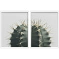 thumbnail image 1 of PixonSign Framed Wall Art Collage Print Gallery Set Spiky Green Succulent Halves Botanical Plants Photography Realism Modern Relax/Calm Multicolor for Living Room, Bedroom, Office - 12"x16"x2 WHITE, 1 of 6