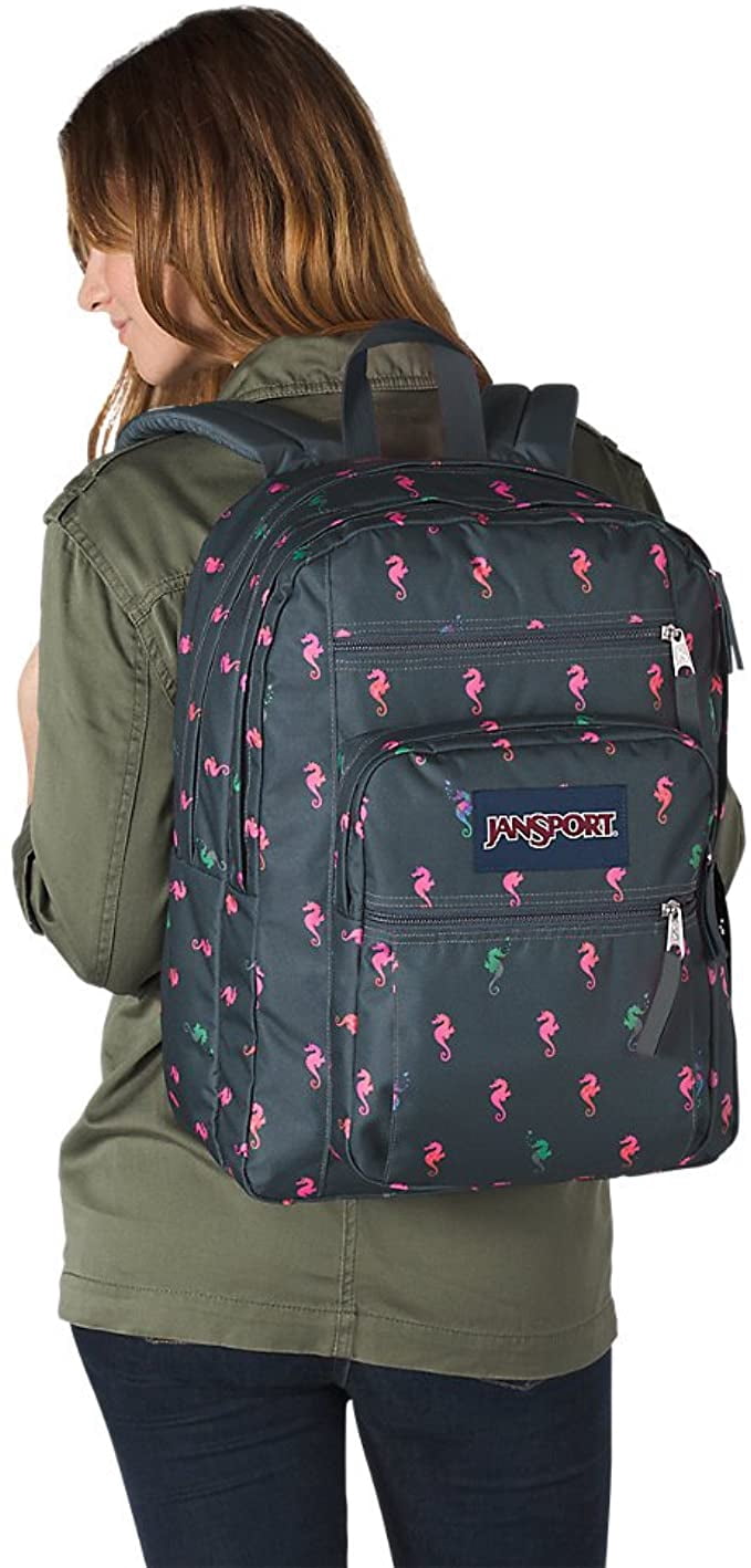 JanSport Big Student Backpack - Dark 