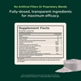 thumbnail image 3 of Genius Consciousness, Super Nootropic Brain Supplement Powder, Watermelon - Boost Focus, Cognitive Function, Concentration & Memory Booster - Alpha GPC & Lions Mane Mushroom for Neuro Energy & IQ, 3 of 9