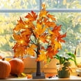 thumbnail image 5 of Dazzle Bright 24 Inch Lighted Thanksgiving Fall Maple Tree Decor, 24 LED Battery Operated Decorations Artificial Tree with Timer for Indoor Home Room Holiday Xmas Party, 5 of 7