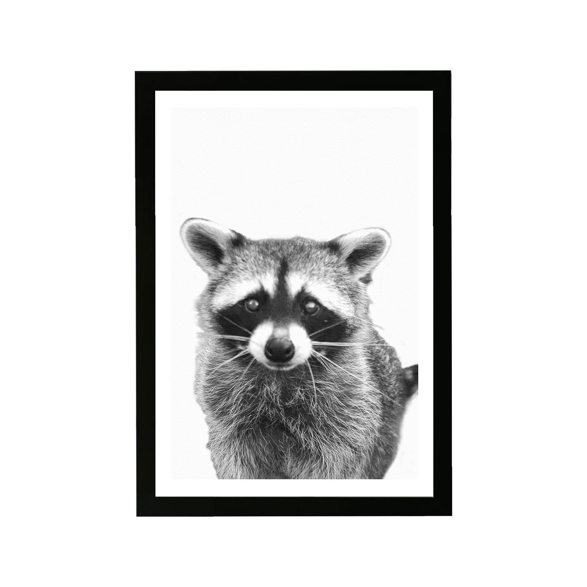 Wynwood Studio Animals Framed Wall Art Prints 'Raccoon' Zoo and Wild