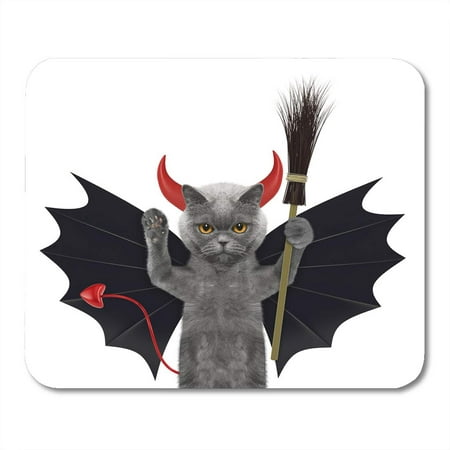 SIDONKU Autumn Colorful Funny Cute Halloween Cat in Bat Devil Costume with Broom White Orange Canine Mousepad Mouse Pad Mouse Mat 9x10 inch