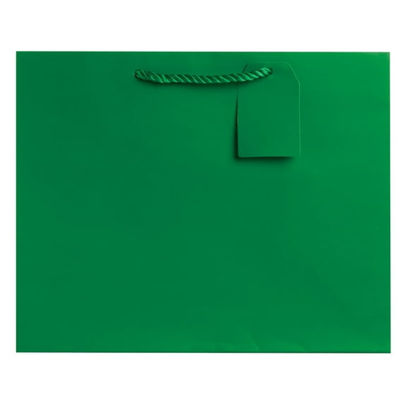 Jillson Roberts 6-Count Large 12.5" x 10" x 5" Gift Bags Available in 12 Solid Colors, Green Matte