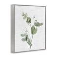 thumbnail image 4 of Stupell Industries Soft Country Botanical Botanical & Floral Painting Gray Framed Art Print Wall Art, 16 x 20, 4 of 10
