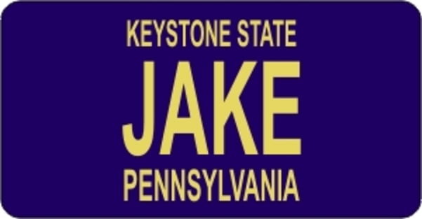 Design It Yourself Pennsylvania Bicycle Plate#2. Free Personalization