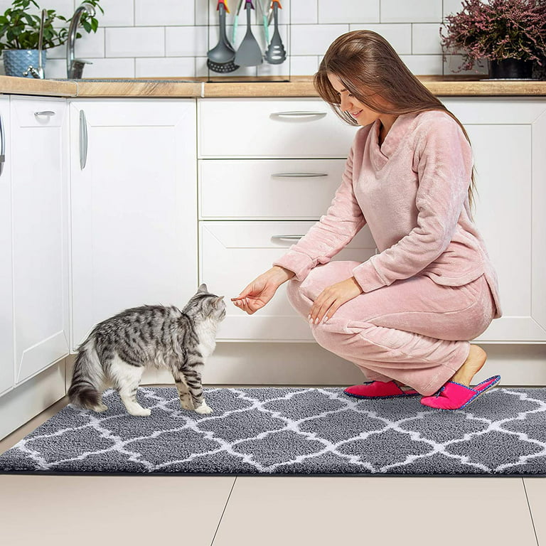 Muddy Mat 2-Piece Set AS-SEEN-ON-TV Highly Absorbent Microfiber Door Mat  and Pet Rug, Non Slip Thick Washable Area Mat Soft Chenille for Kitchen