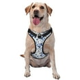 thumbnail image 1 of Fotbe Blue Paisley Arnés para Perro con Estampado –Chaleco Ajustable Acolchado con Asa de Control para Perros Grandes-Large, 1 of 6