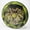 173-174g Black Swirl w/ Gold Stamp, variant on Doomsday Discs Retina Oblivion Disc Golf Distance Driver, May Vary from Image
