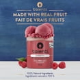 thumbnail image 4 of Talenti Roman Raspberry Dairy Free Sorbetto, 473 ml, 4 of 7